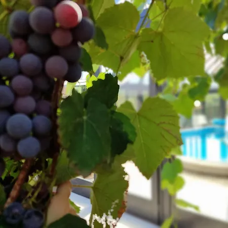 Casa de Férias Deluxe Coast River Sarajevo Visoko